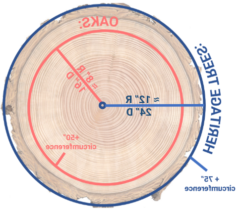 trees diagram